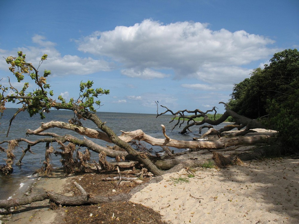 Greifswalder Bodden