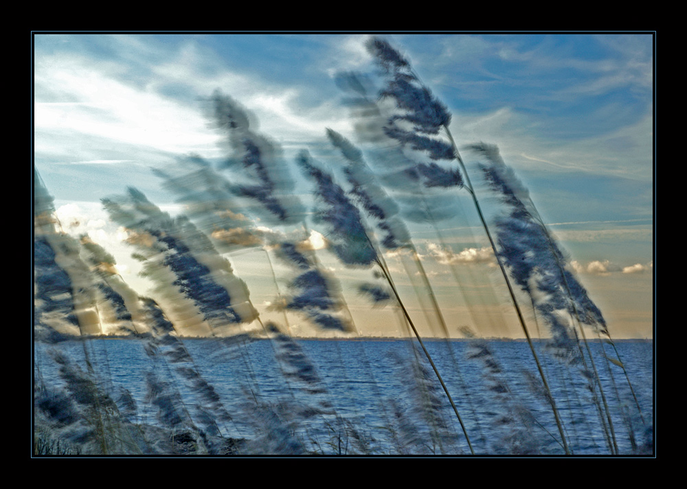 Greifswalder Bodden von Sandra Bartocha