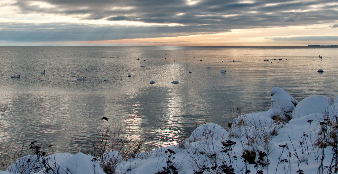 Greifswalder Bodden mit Schnee