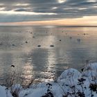 Greifswalder Bodden mit Schnee