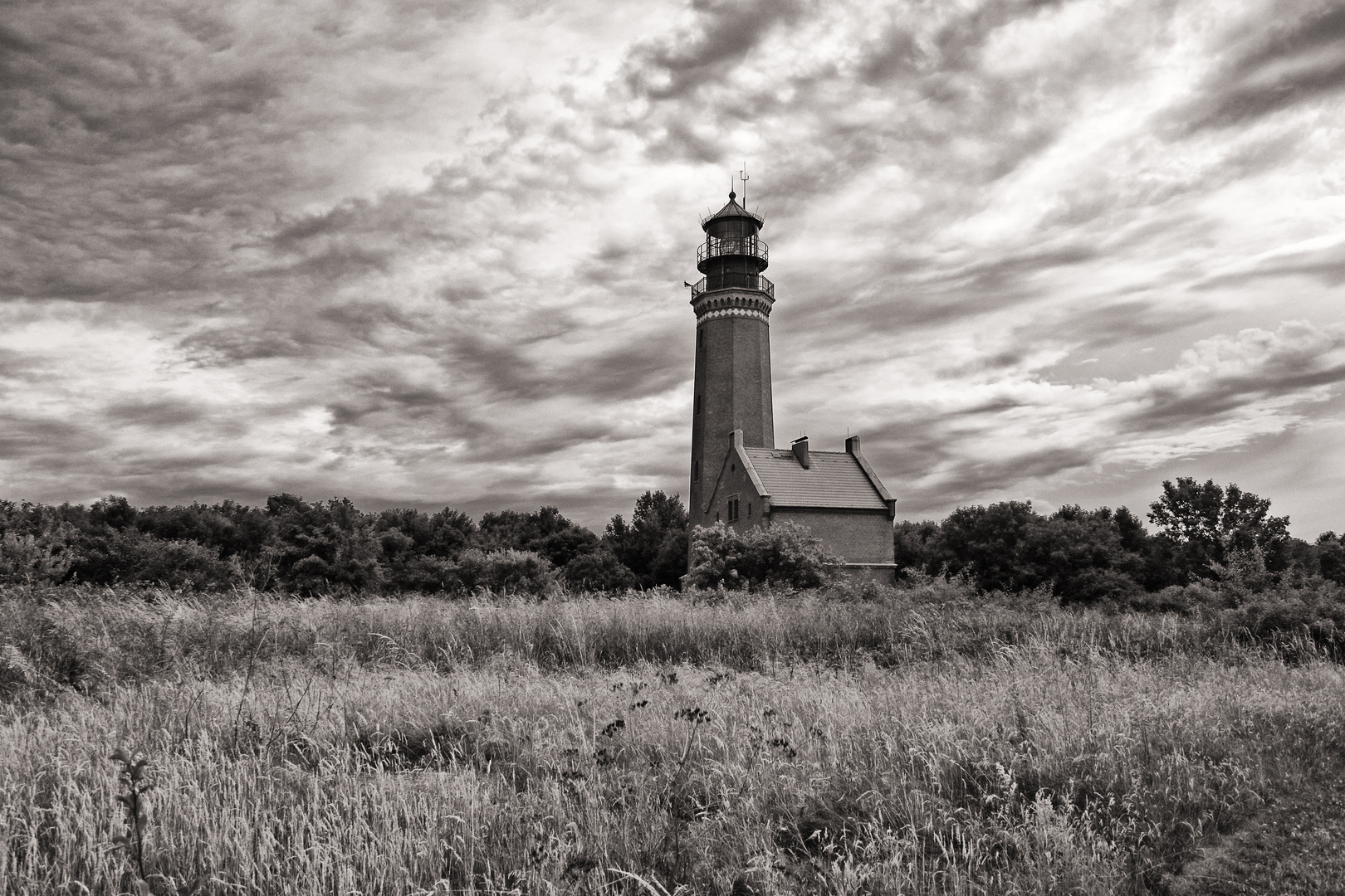 Greifswalder Oie