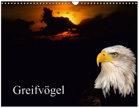 Greifvögel - Zu kaufen als Kalender