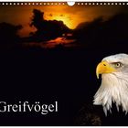 Greifvögel - Zu kaufen als Kalender