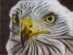 Greifvogel in Airbrush