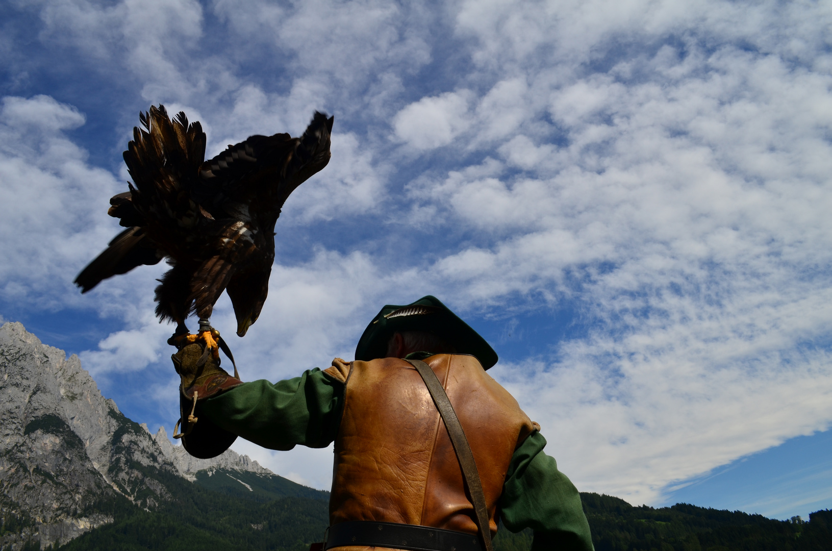 Greifvogel zum greifen nah..:)