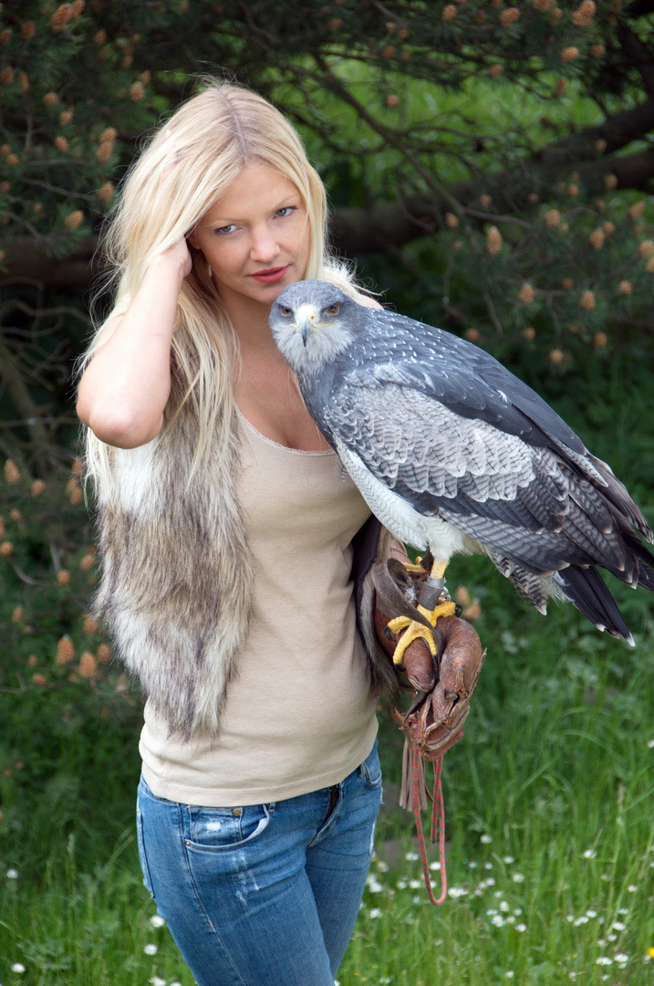 Greifvogelshooting in Zingst...