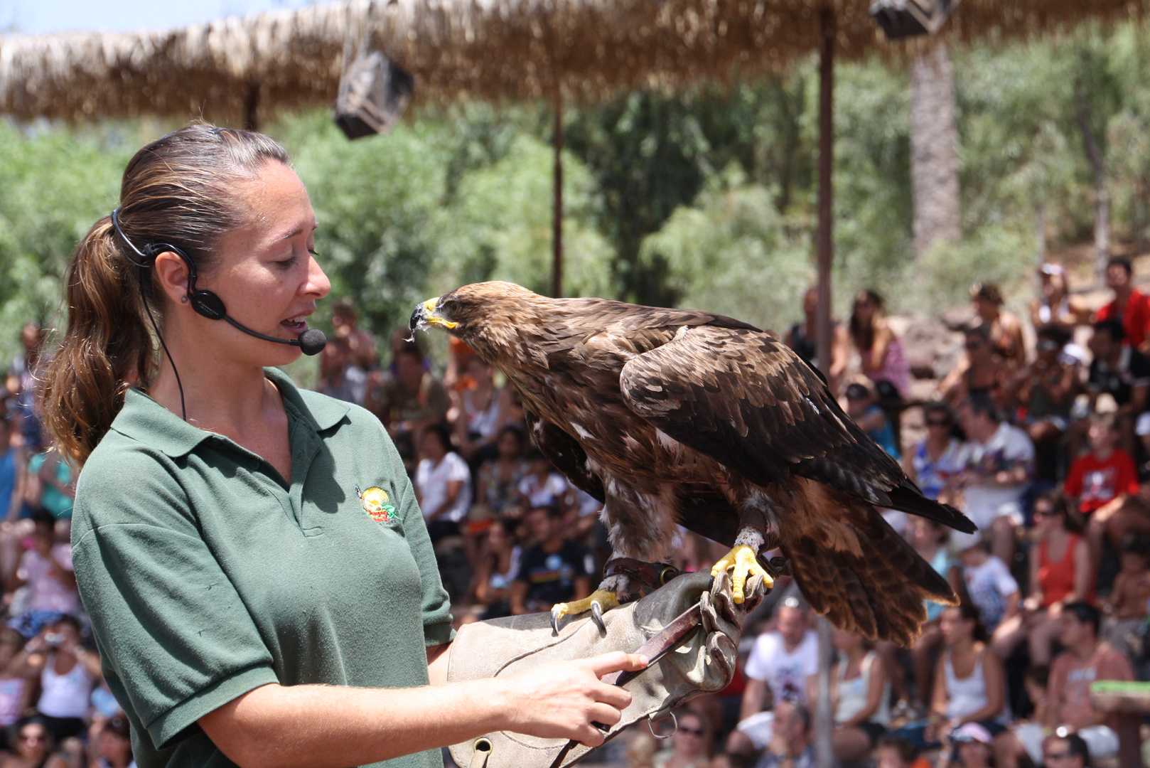 Greifvogelshow im Oasis Park Fuerteventura