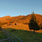 Greim bei Sonnenaufgang