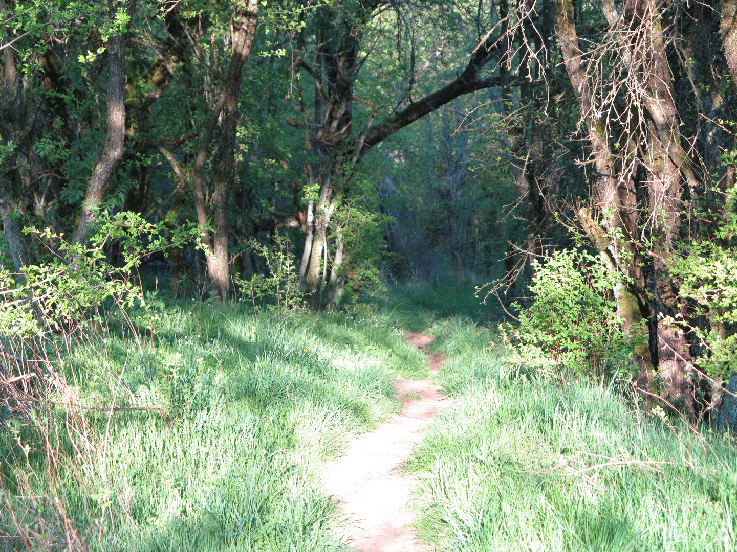 Greimerather Höhenweg