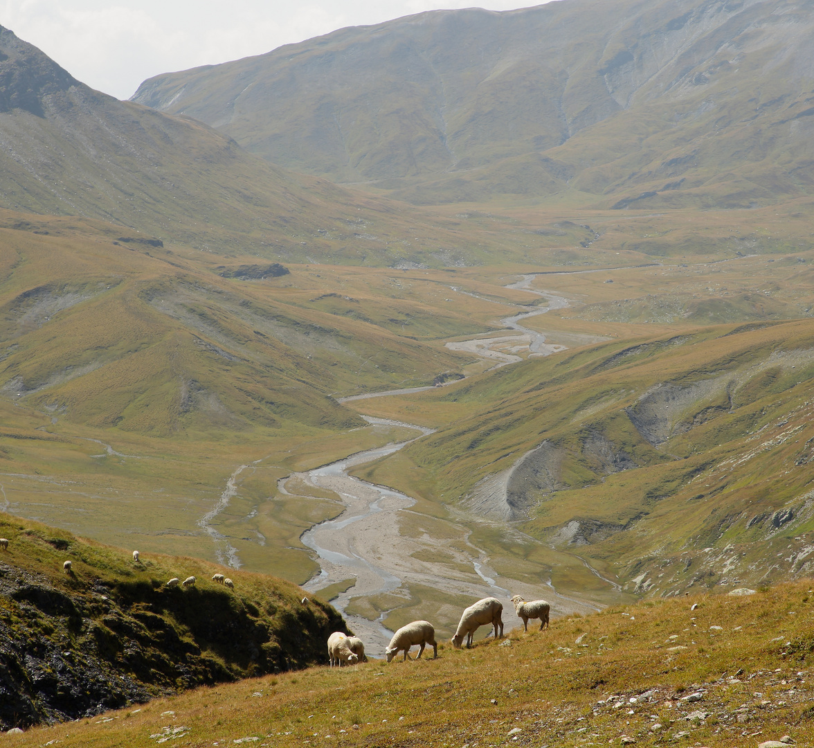 Greina Ebene vom Pass Diesrut