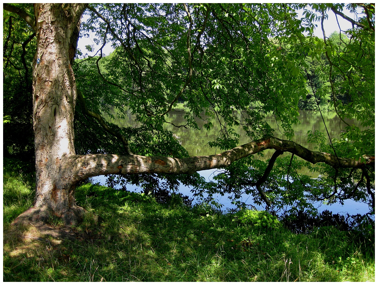 Greizer Durchblick