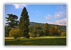 Greizer Park - Herbstliche Farben