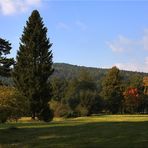 Greizer Park - Herbstliche Farben (reloaded)