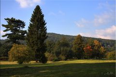 Greizer Park - Herbstliche Farben (reloaded)