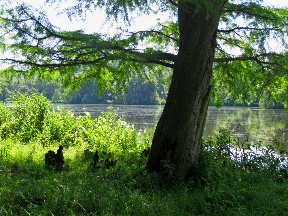 Greizer Park (Thüringen)