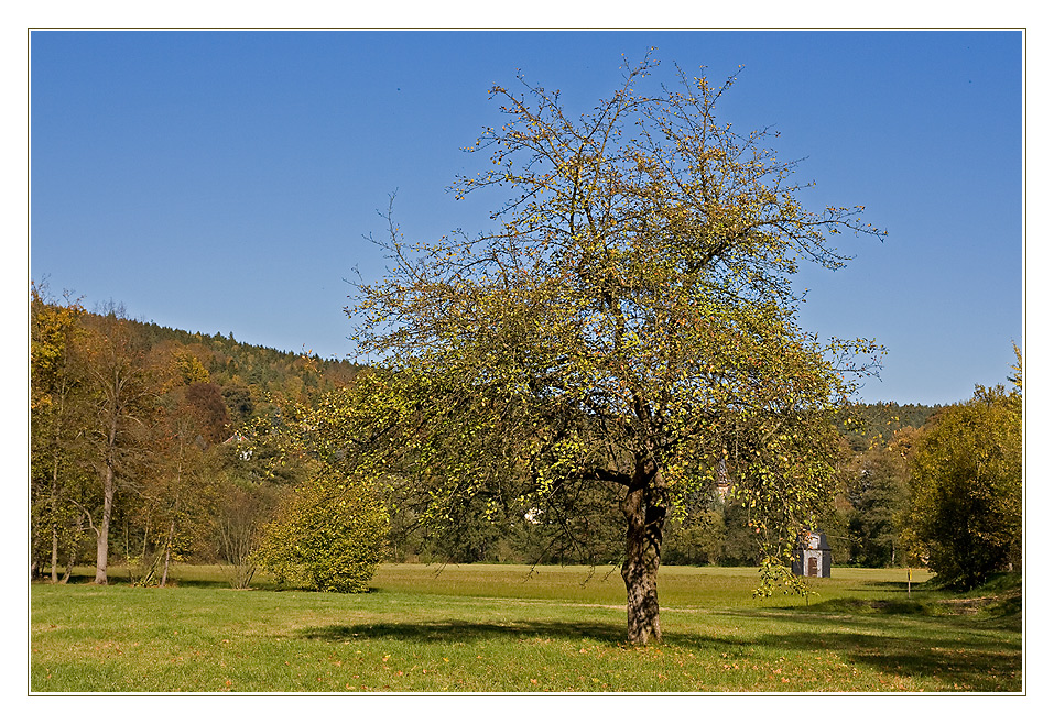 Greizer Parklandschaft - 1