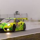 Grello in the rain