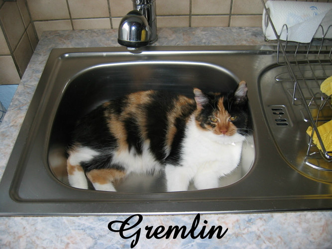 Gremimaus