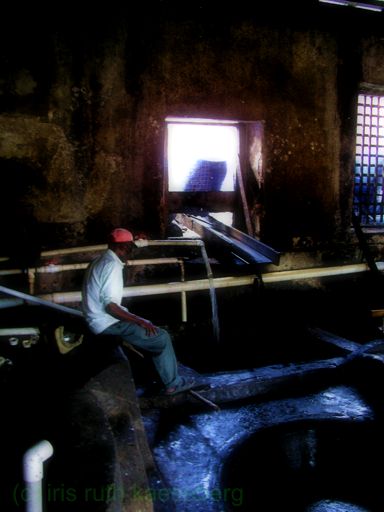 Grenadian Rum Factory