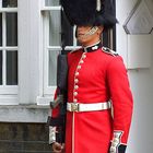 Grenadier Guard