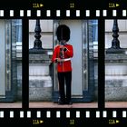 Grenadier Guards am Buckingham Palast