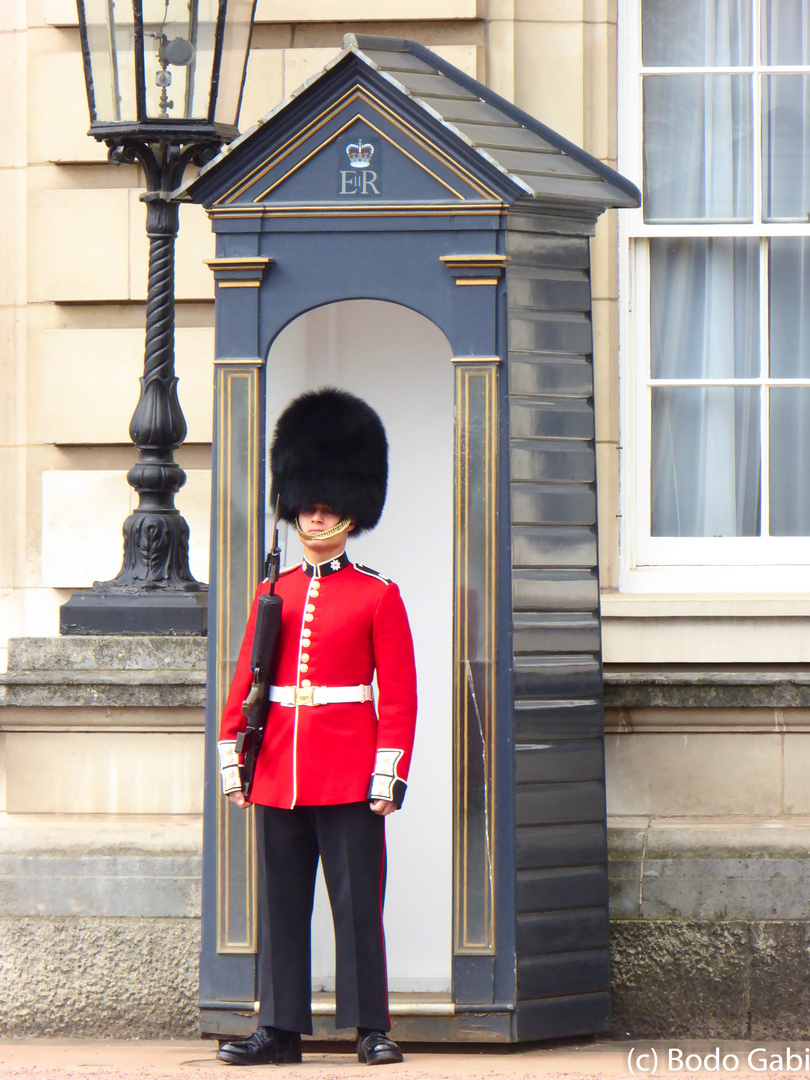 Grenadier-Guards - königlieche Wache