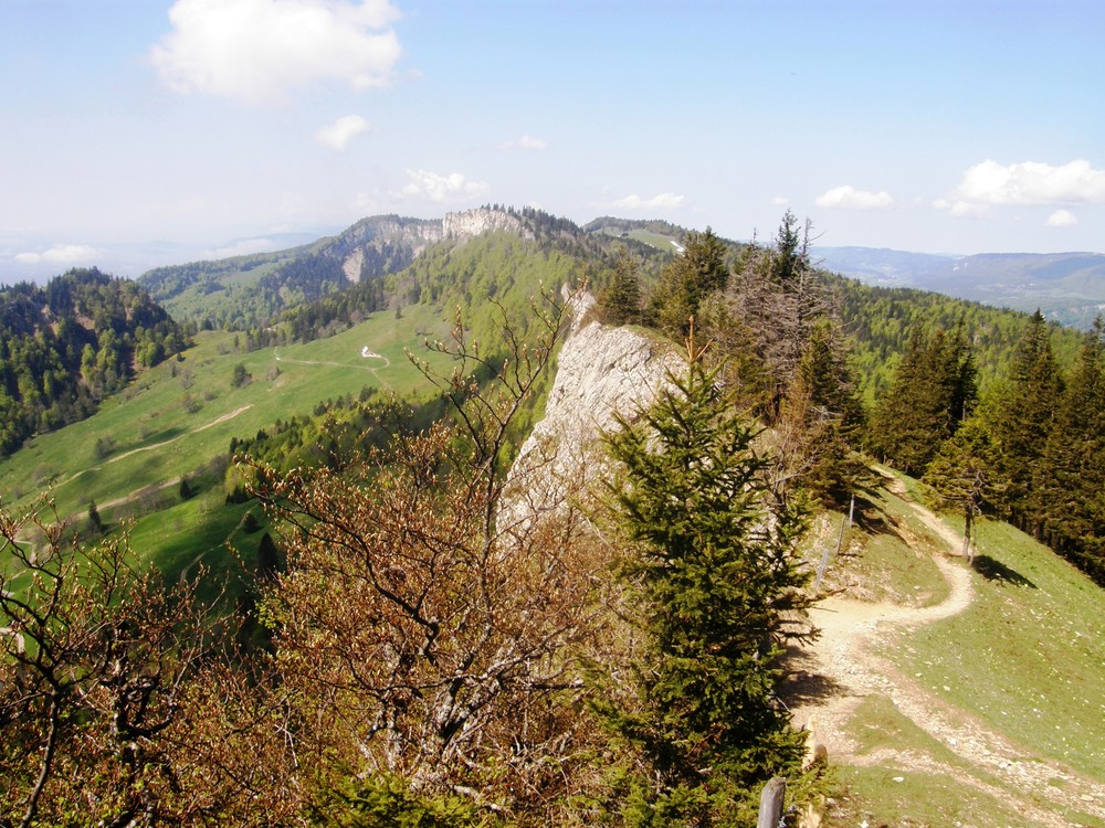 Grenchenberge