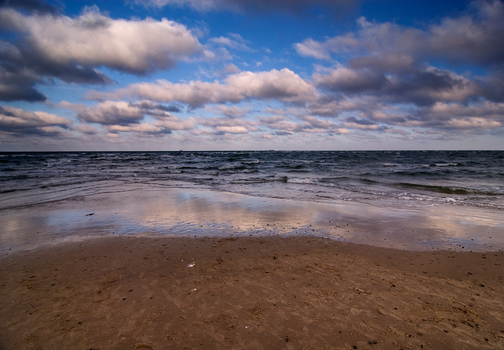 Grenen im Winter