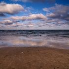 Grenen im Winter