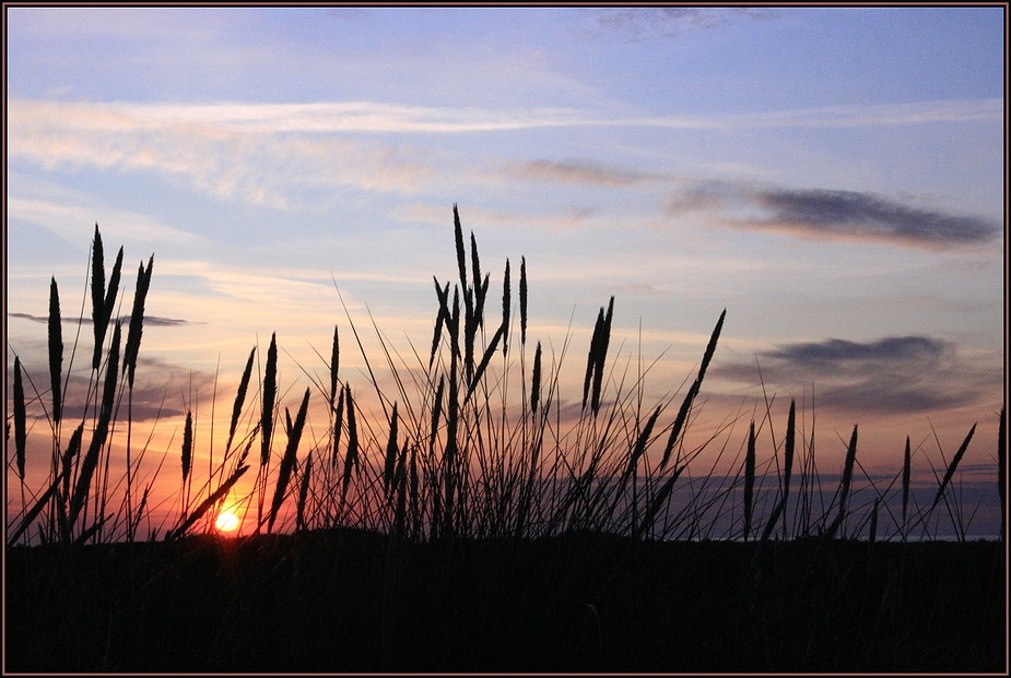 Grenen solnedgang