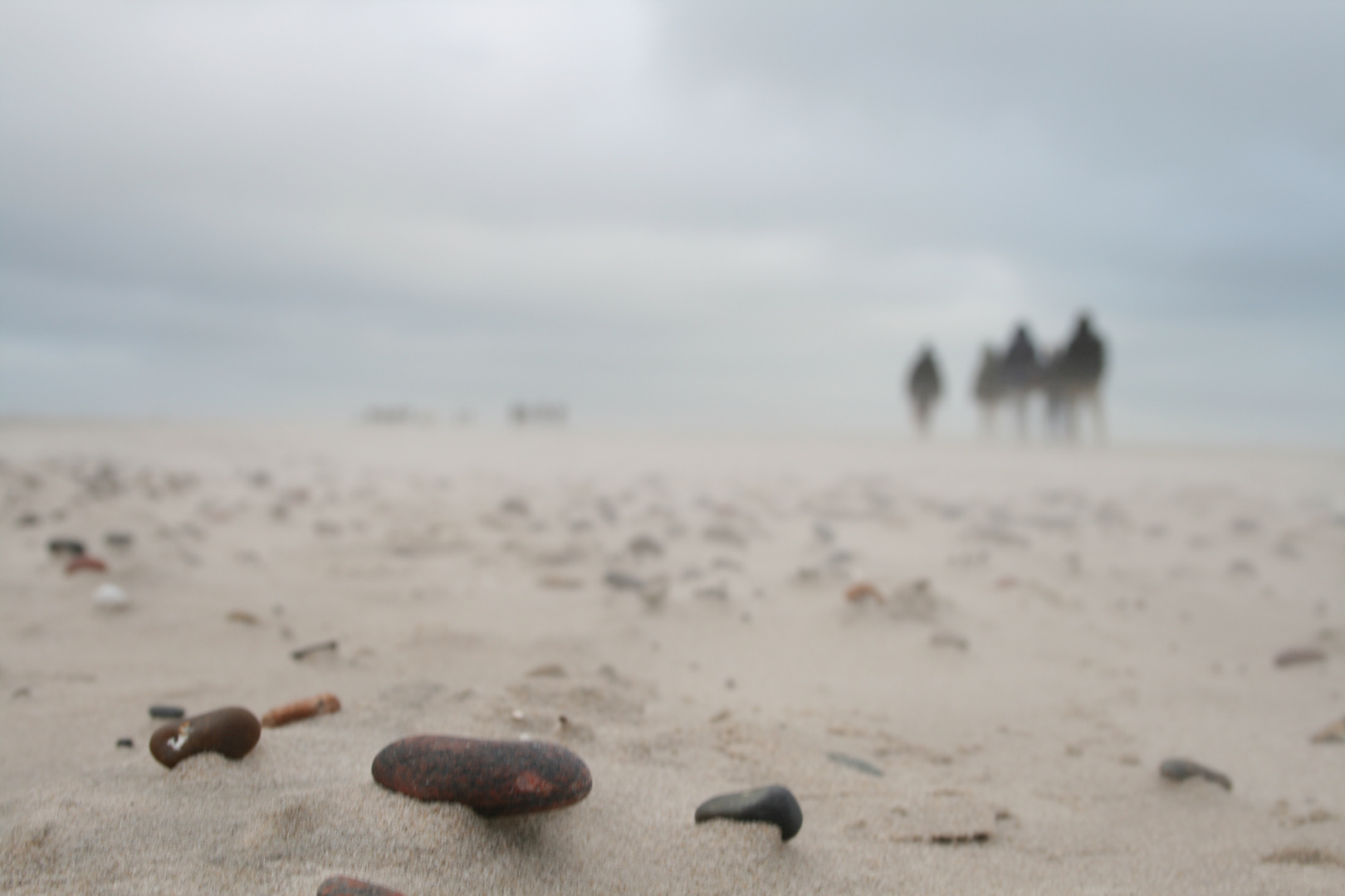 Grenen Strand