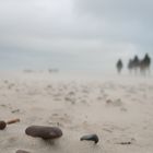 Grenen Strand