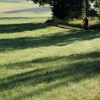 Grenz-Schatten-Fahrer