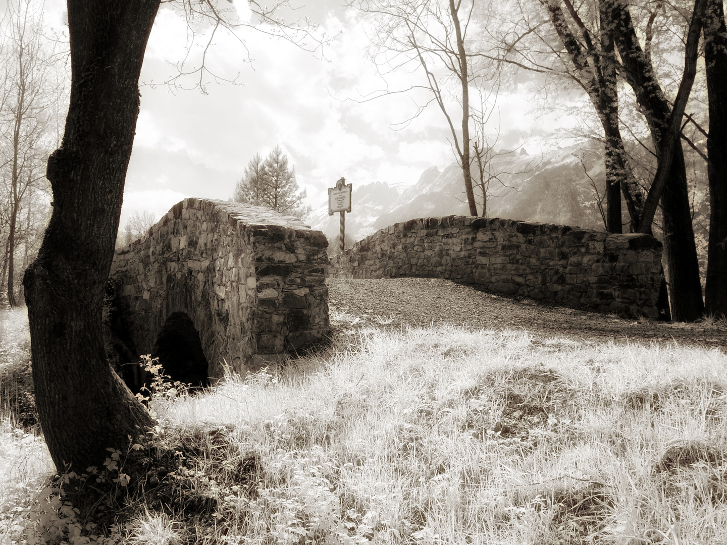 Grenzbrücke Ruggell [IR]