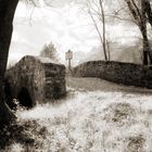 Grenzbrücke Ruggell [IR]