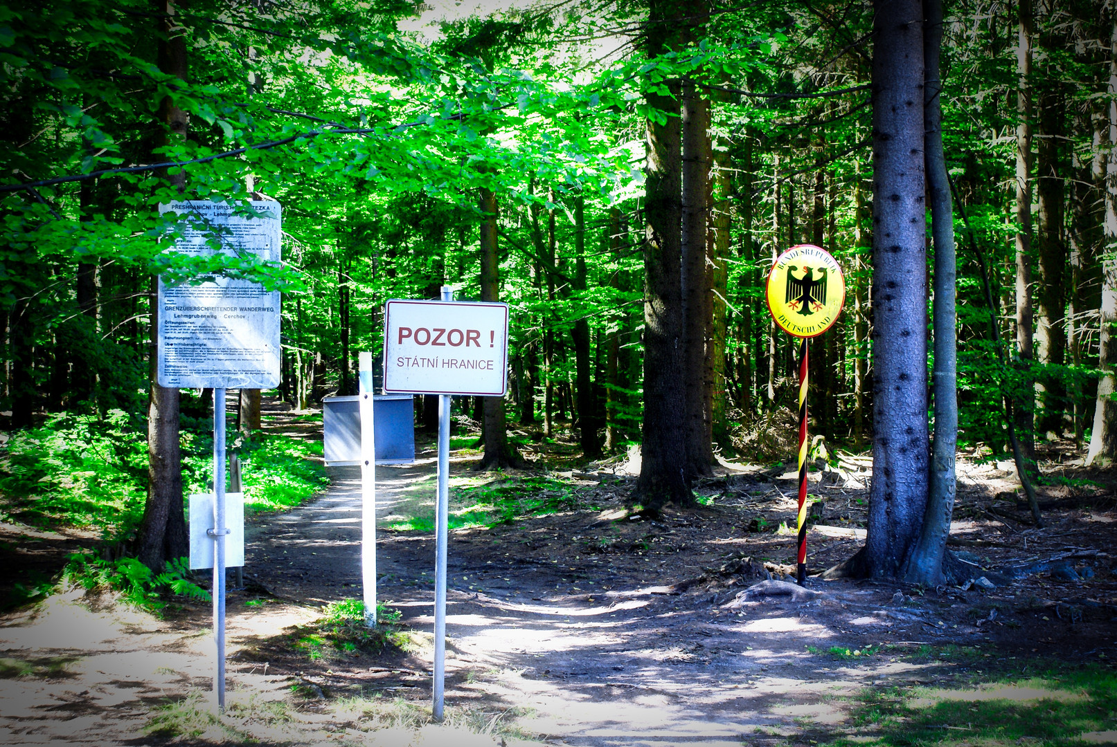 Grenze im Wald