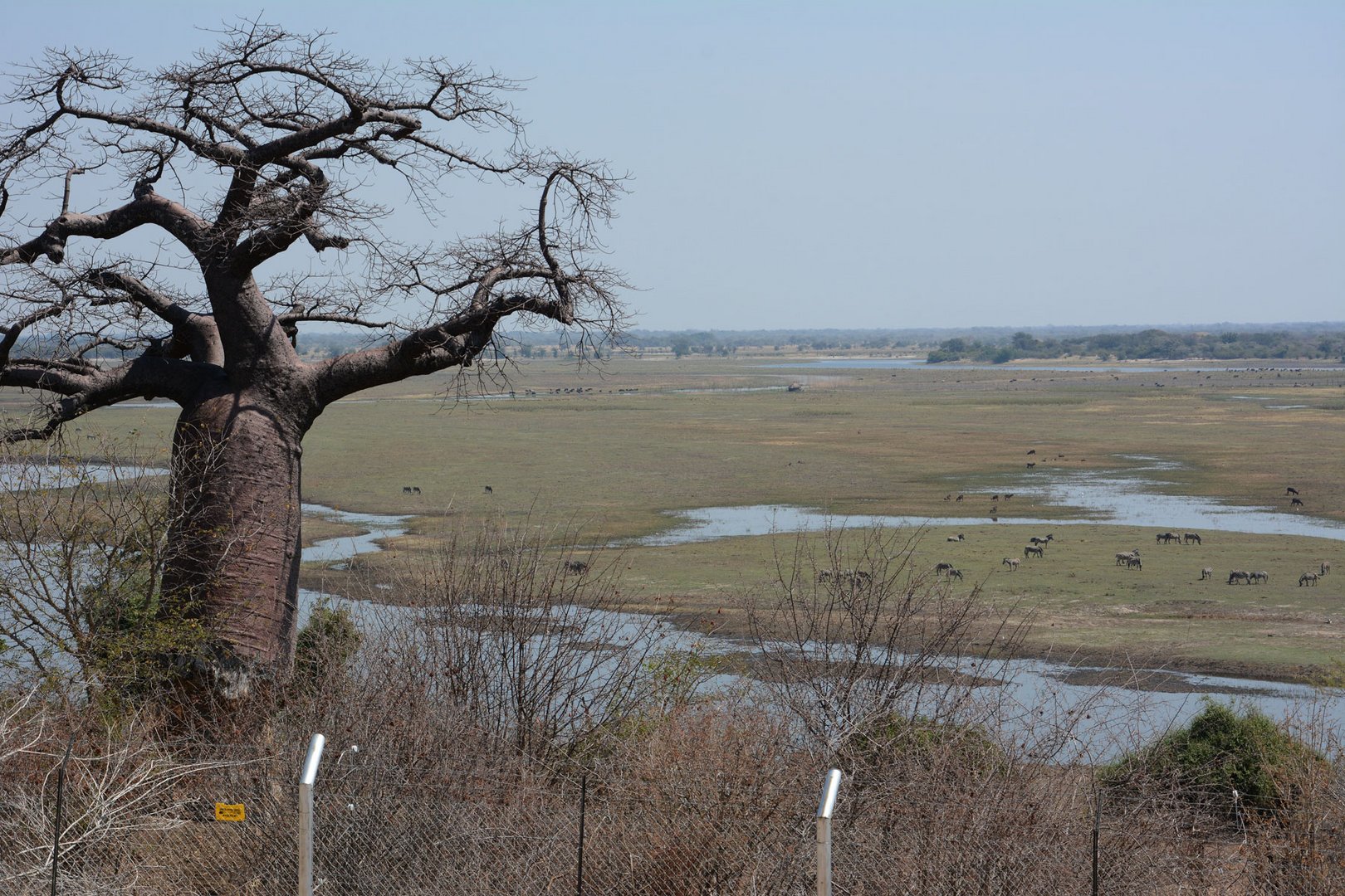 Grenze Namibia-Botswana