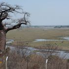 Grenze Namibia-Botswana