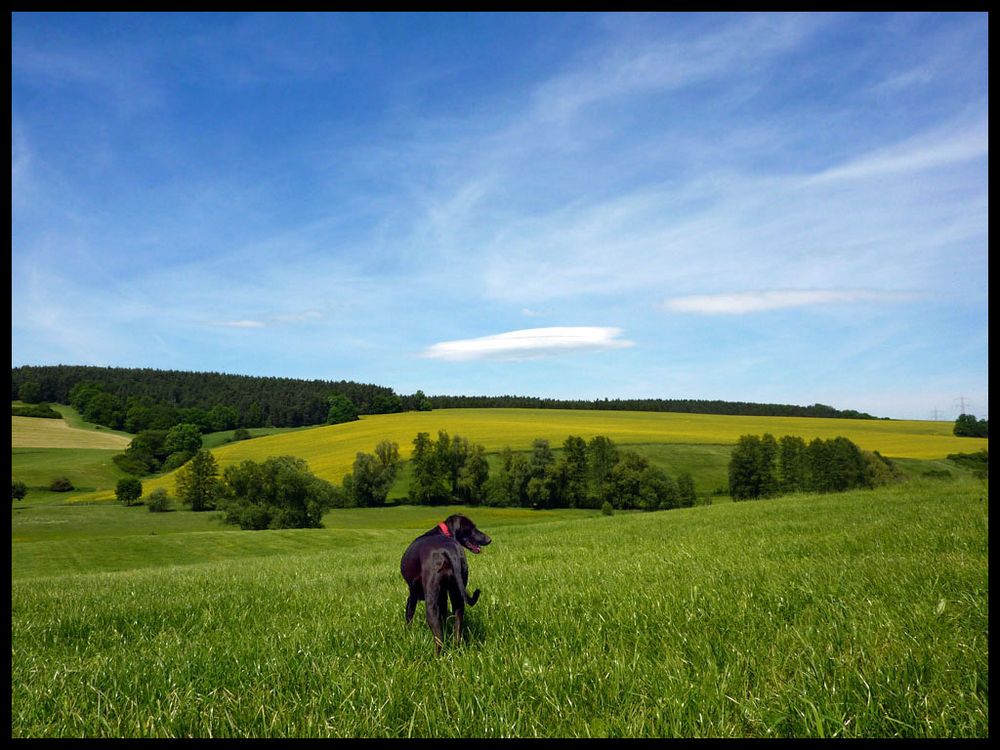 Grenzenlose Freiheiten ..