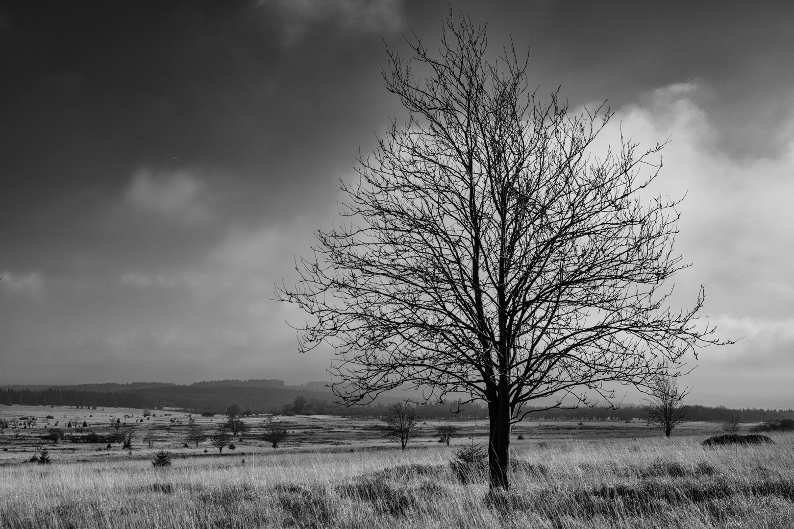 Grenzenlose Landschaft