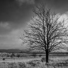 Grenzenlose Landschaft