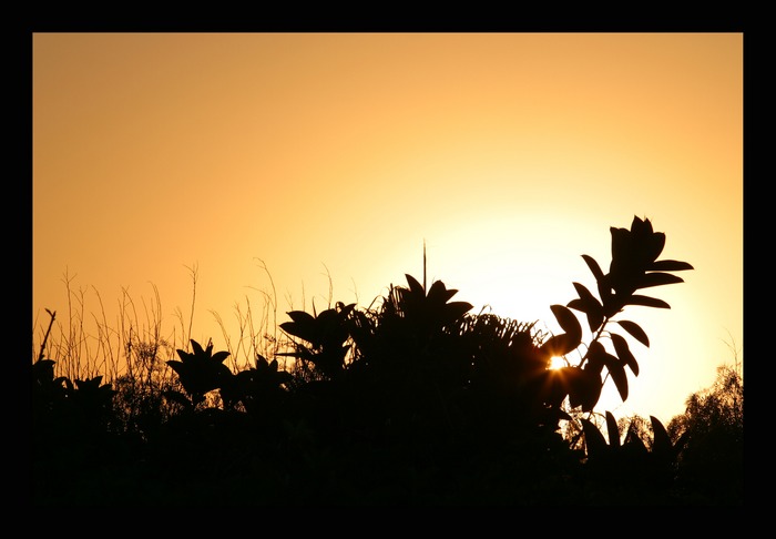 Grenzenloser Sonnenaufgang