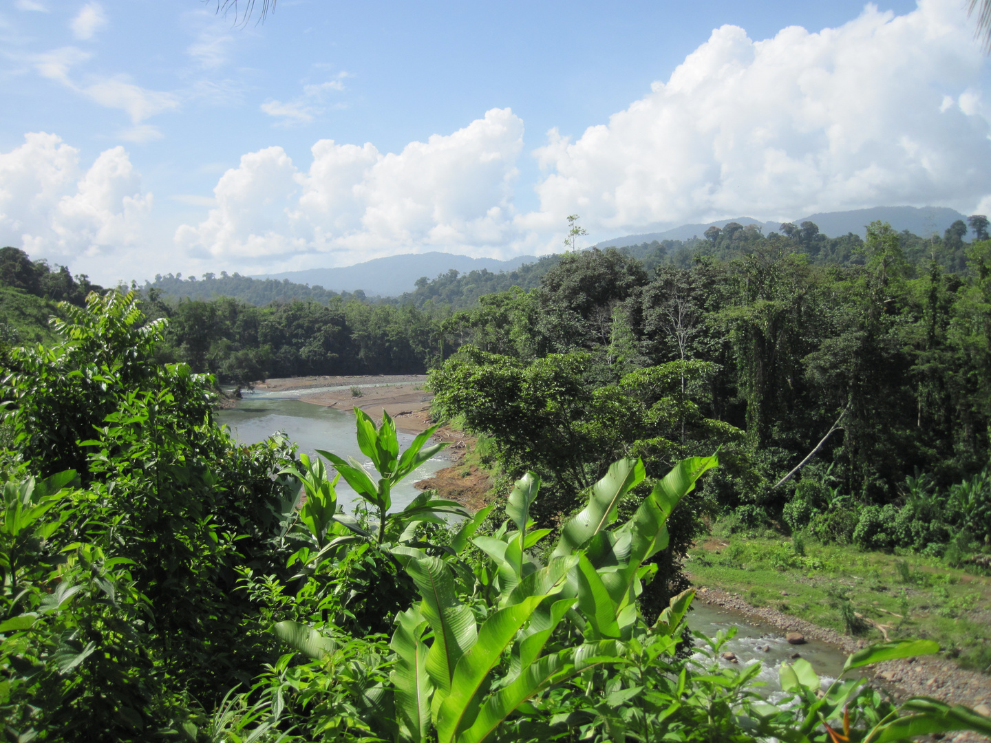 Grenzfluss Rio Yorkin