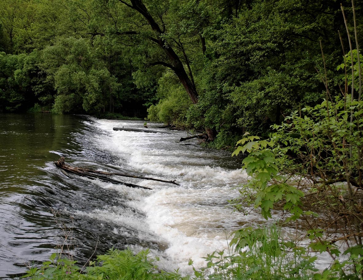 Grenzfluss Thaya