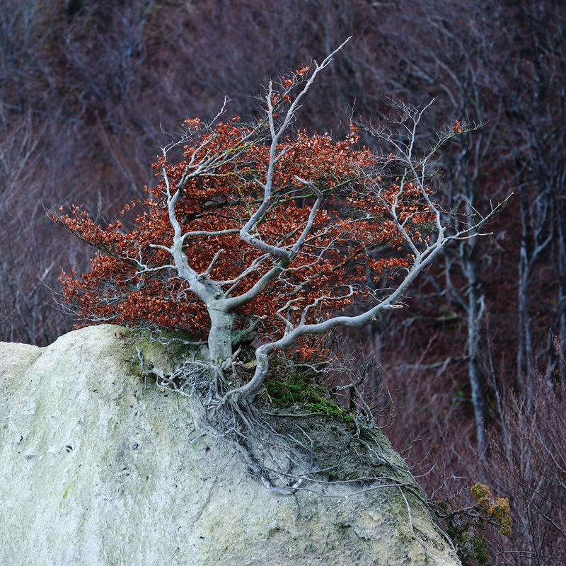 Grenzgänger