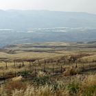 Grenzgebiet - Israel - Jordanien