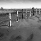 Grenzpfähle am Strand