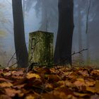 Grenzstein im Herbstwald