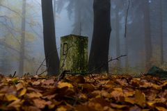 Grenzstein im Herbstwald