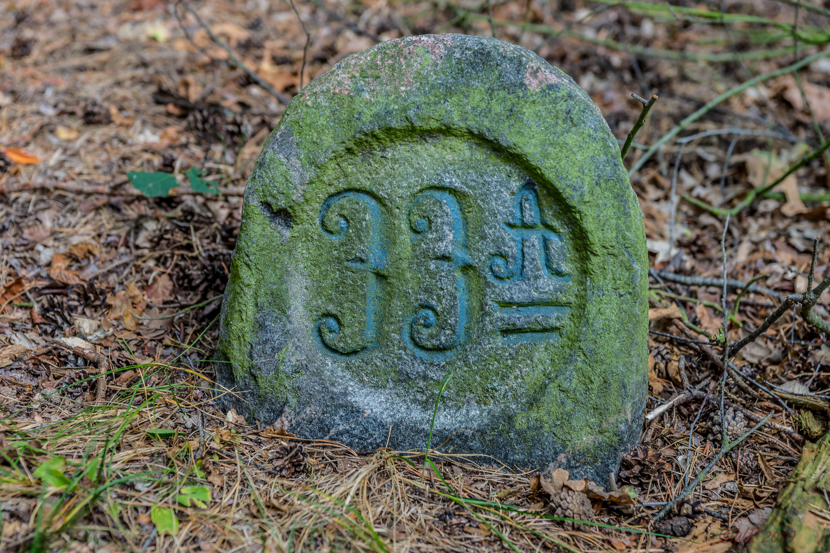 Grenzstein im Wald